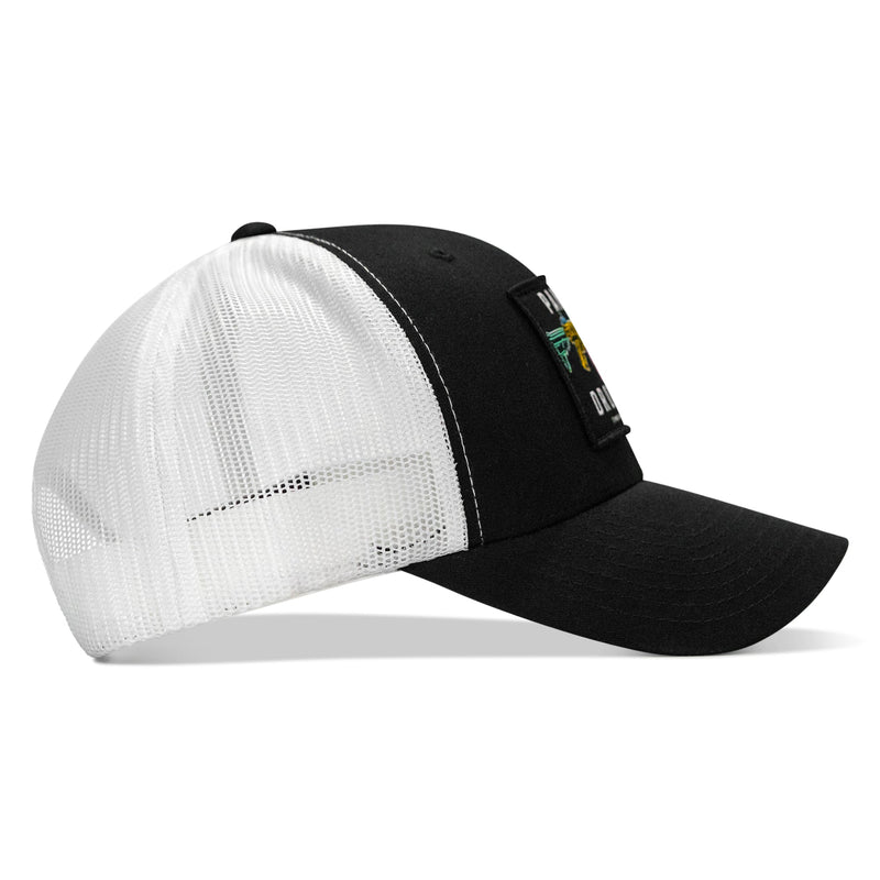 Load image into Gallery viewer, Panty Dropper Retro Patch Snapback Hat