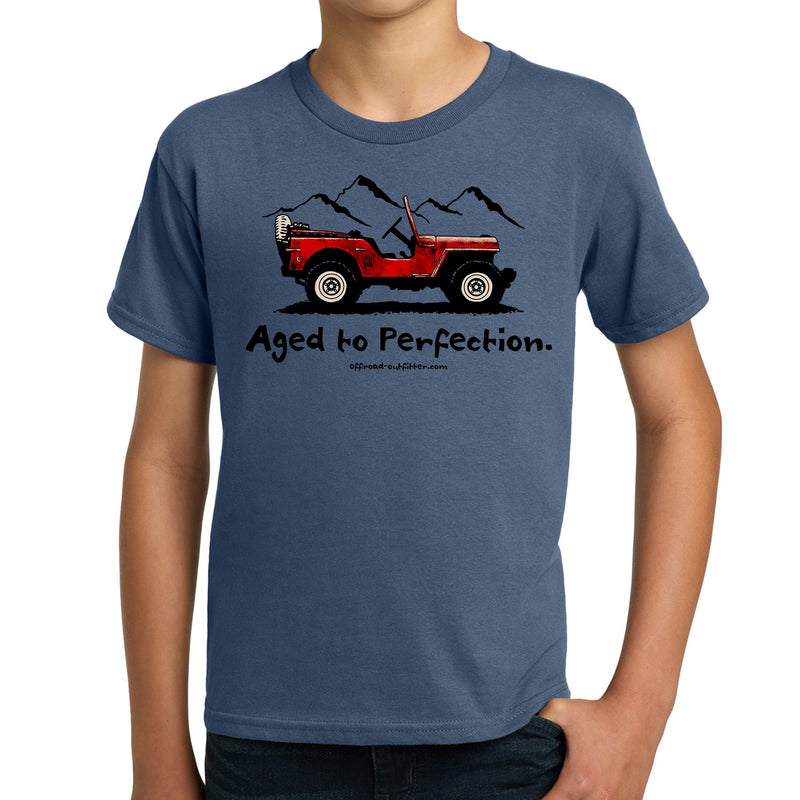 Load image into Gallery viewer, Aged to Perfection Youth T-Shirt
