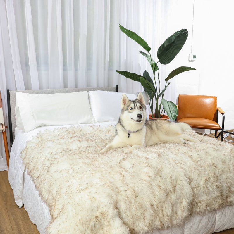 Load image into Gallery viewer, PupProtector™ Waterproof Throw Blanket - White with Brown Accents