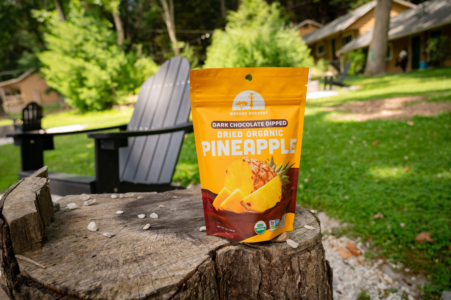 Organic Dried Pineapple Dipped in Dark Chocolate - Skoutley Outdoors LLC