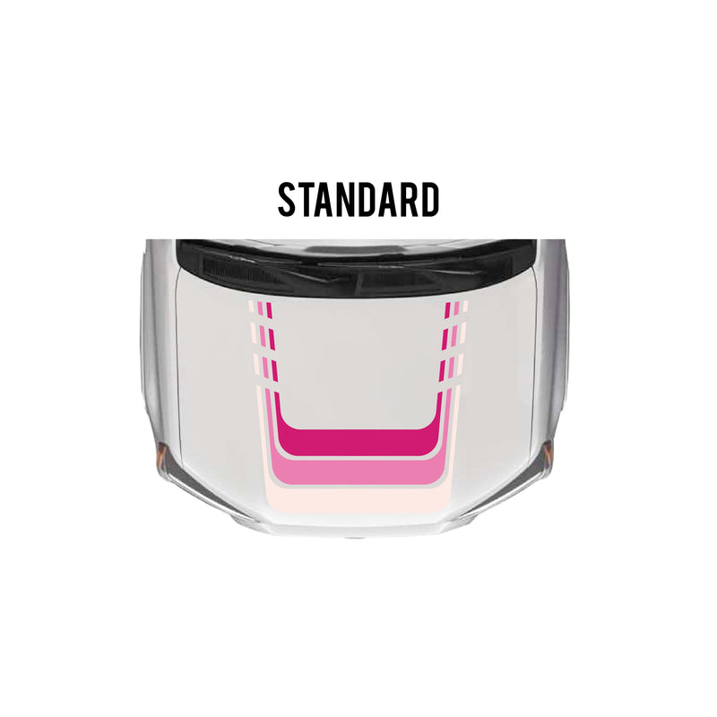 Load image into Gallery viewer, 2010-2024 4Runner Checkered Stripe Kit