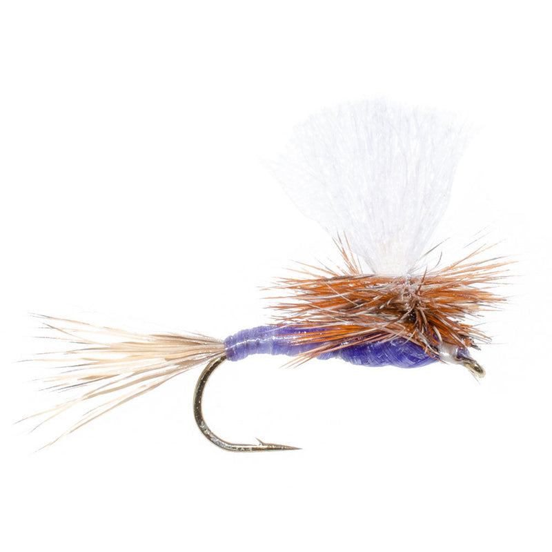 Load image into Gallery viewer, Parachute Purple Haze Dry Fly - 6 Flies Size 12