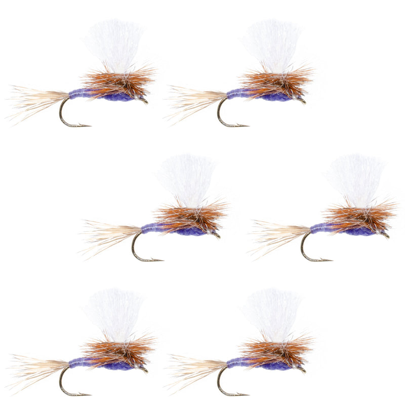 Load image into Gallery viewer, Parachute Purple Haze Dry Fly - 6 Flies Size 14
