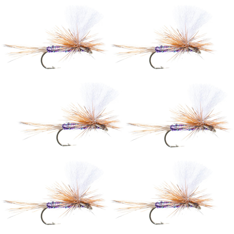 Load image into Gallery viewer, Parachute Super Flash Purple Haze Dry Fly - 6 Flies Size 16