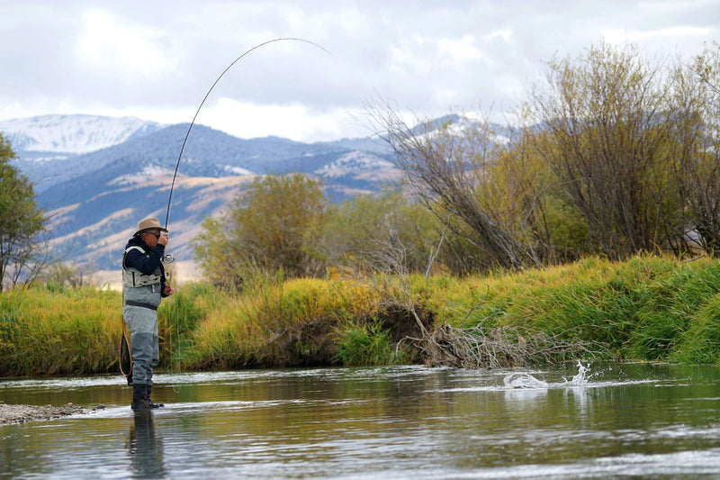 Load image into Gallery viewer, 3 Pack Pat's Rubber Legs Tungsten Jigged Black/Olive Euro Nymph Size 6