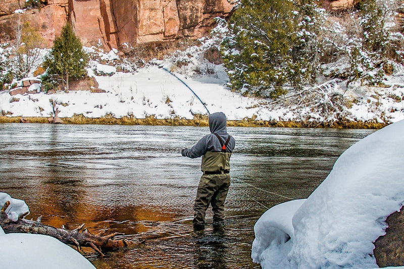 Load image into Gallery viewer, 3 Pack Tungsten Tactical CDC Frenchie Euro Nymph Jig - Size 14