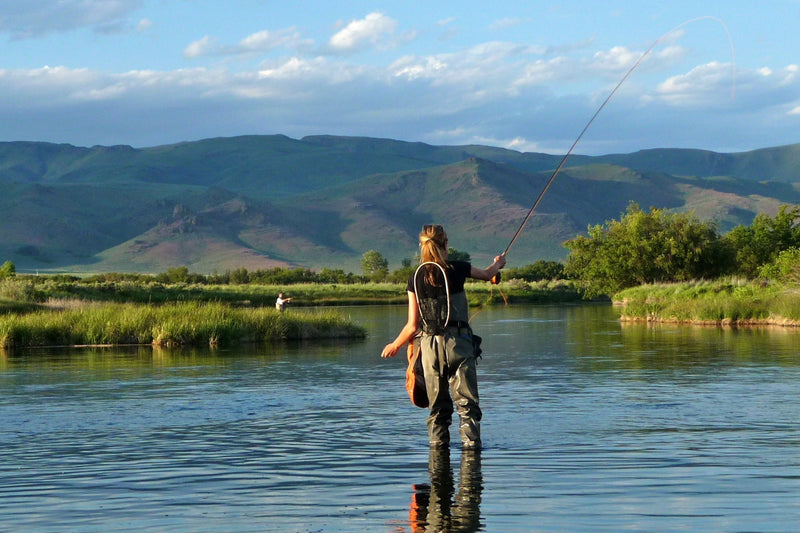 Load image into Gallery viewer, Parachute Super Flash Purple Haze Dry Fly - 6 Flies Size 14