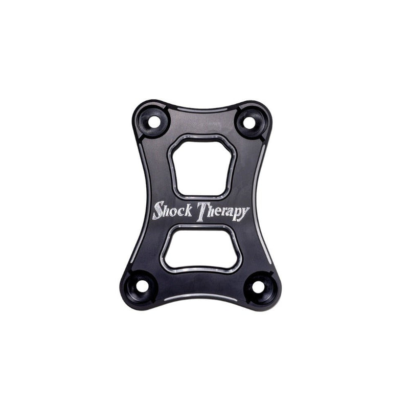 Load image into Gallery viewer, Shock Therapy Radius Pull Plate for RZR Pro R