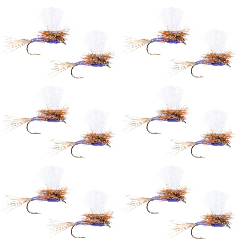 Load image into Gallery viewer, Parachute Purple Haze Dry Fly - 12 Flies Size 12