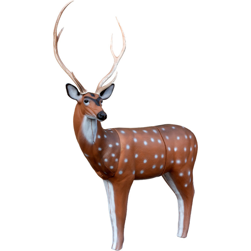 Load image into Gallery viewer, QuivAR Enabled Axis Deer