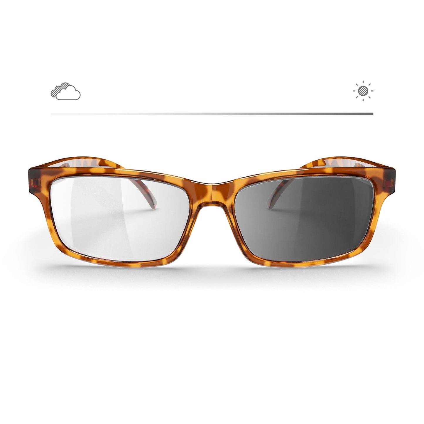 Tortoise Rectangle Prescription Transitions® XTRActive Polarized