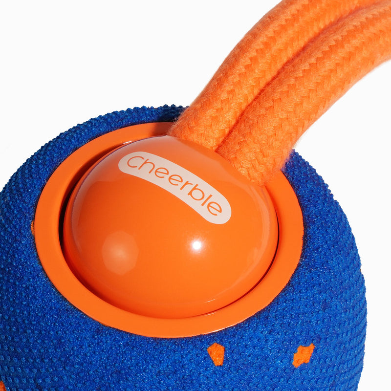 Load image into Gallery viewer, Wicked Ball Rolly