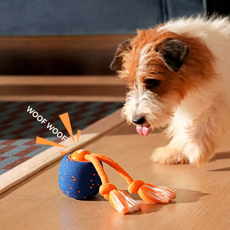 Load image into Gallery viewer, Wicked Ball Rolly