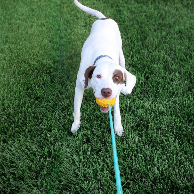 Load image into Gallery viewer, Mako Treat n Chew Rope Toy