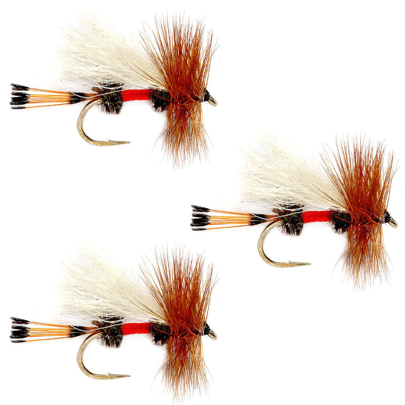 Load image into Gallery viewer, 3 Pack Royal Trude Classic Hair Wing Dry Fly - Hook Size 12