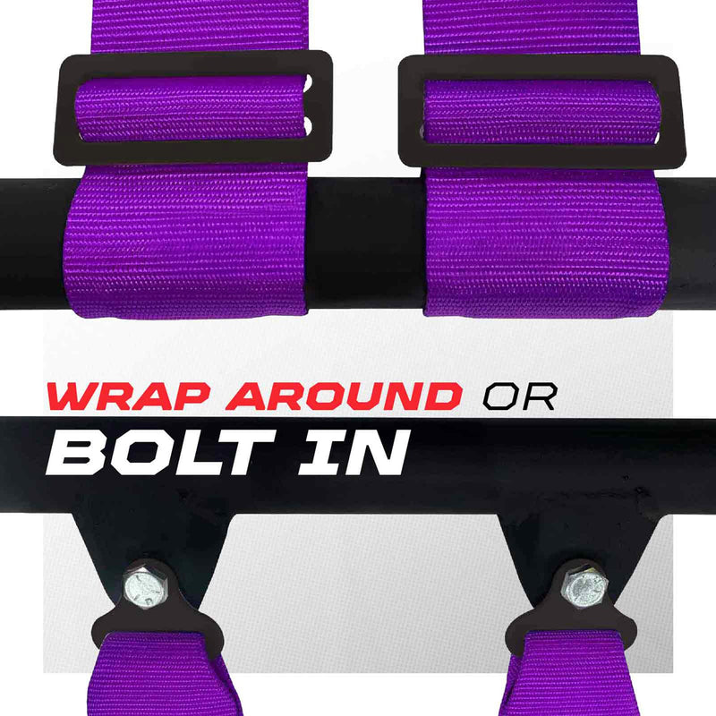 Load image into Gallery viewer, SFI Approved 2" and 3" 5 point Harness, Racing Harness