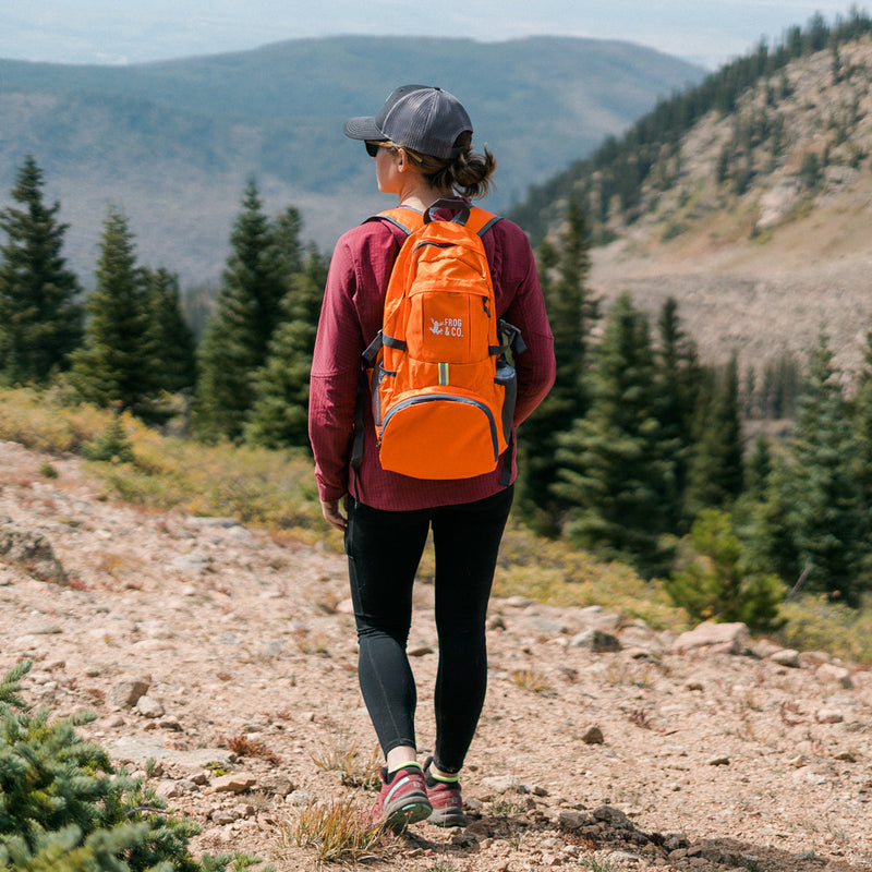 Load image into Gallery viewer, Pocket Backpack