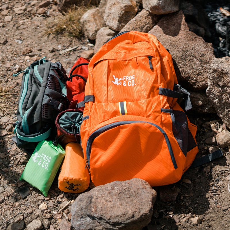Load image into Gallery viewer, Pocket Backpack