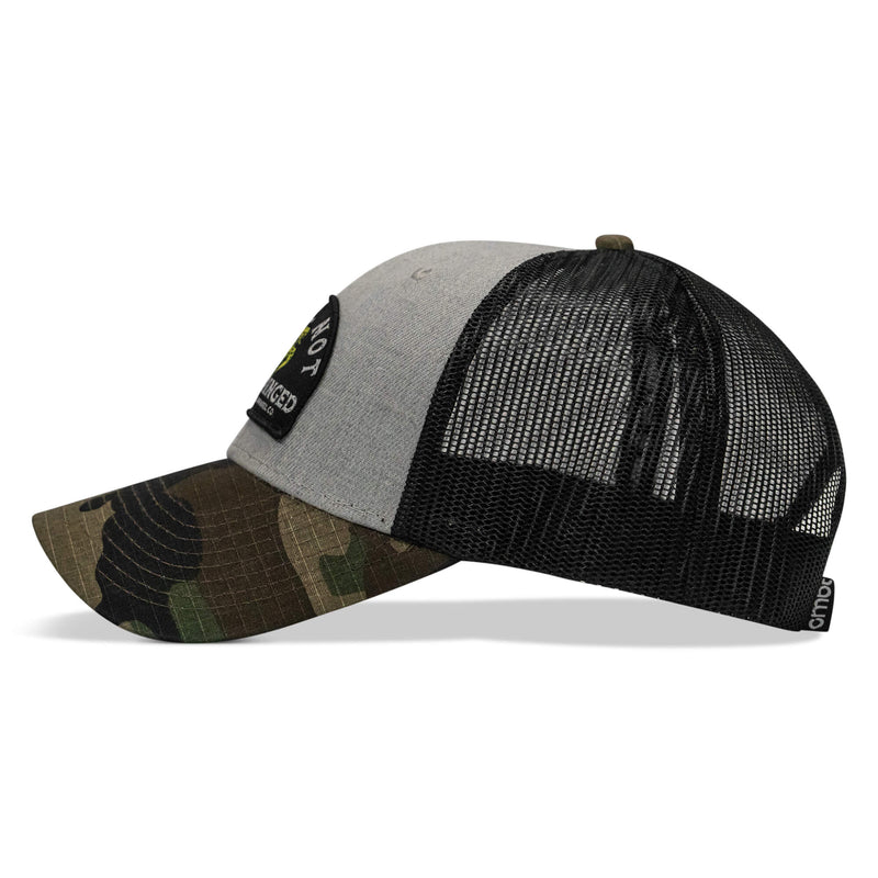Load image into Gallery viewer, Shall Not Be Infringed Patch Snapback Hat