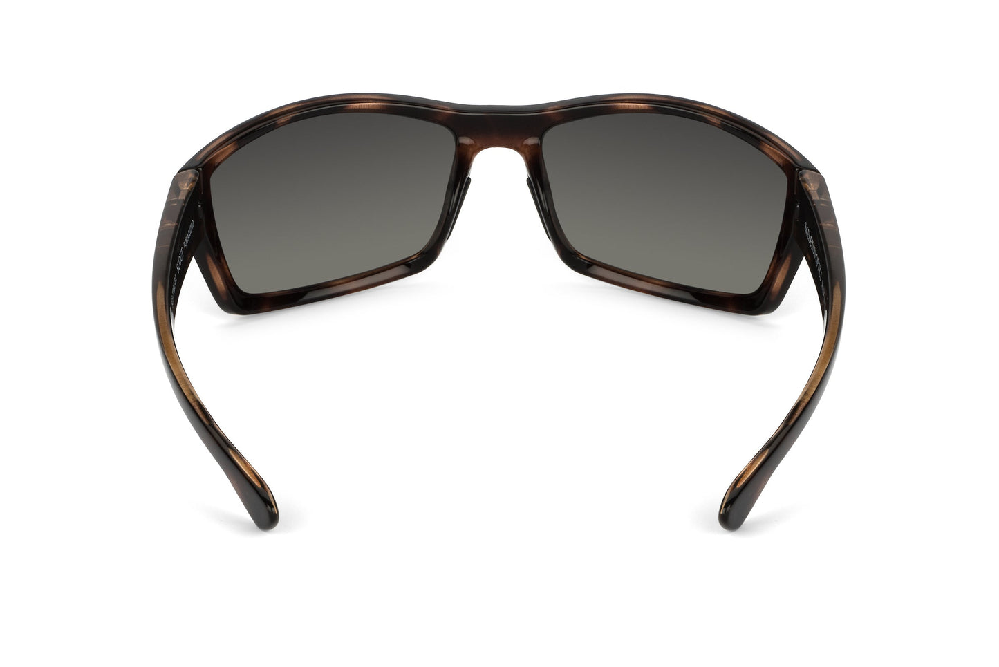 Scout - Tortoiseshell