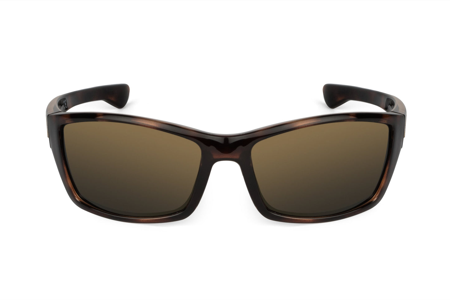 Scout - Tortoiseshell