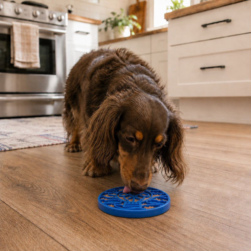 Load image into Gallery viewer, Air Nylon eCoin Lick Mat for Dogs - Durable Enrichment Toy | SodaPup