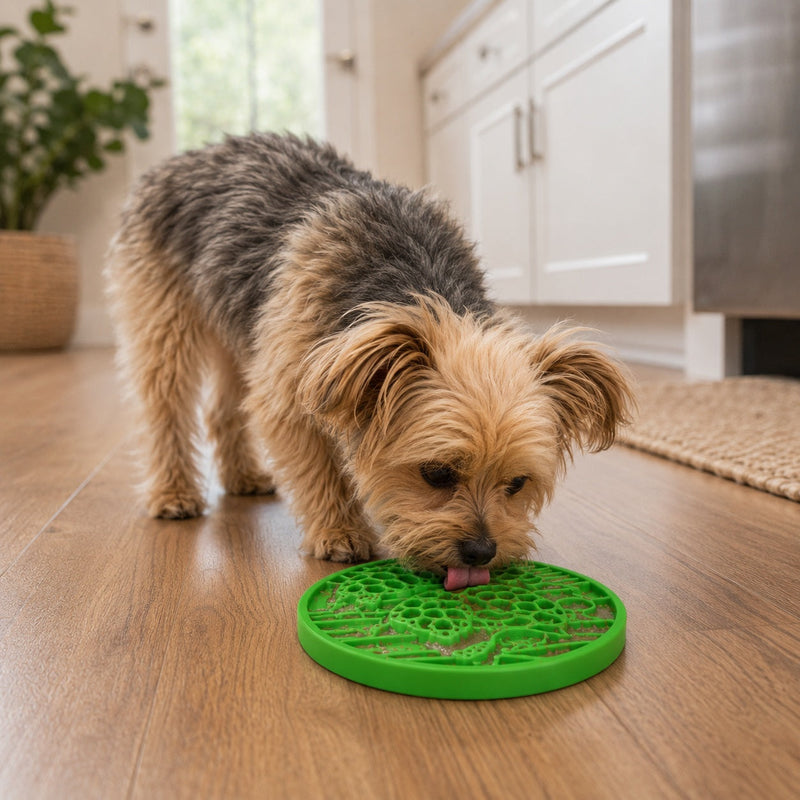 Load image into Gallery viewer, Water Nylon eCoin Durable Enrichment Snacking Coin for Dogs | USA-Made Lick Mat Alternative