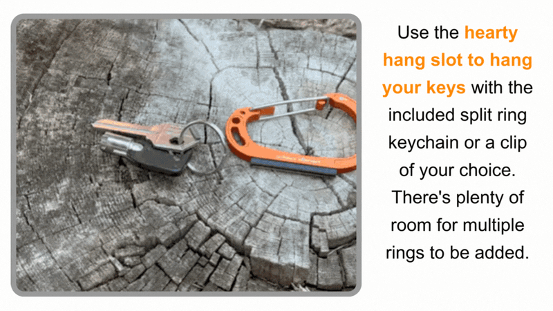 Load image into Gallery viewer, Sparky & Scratch Key