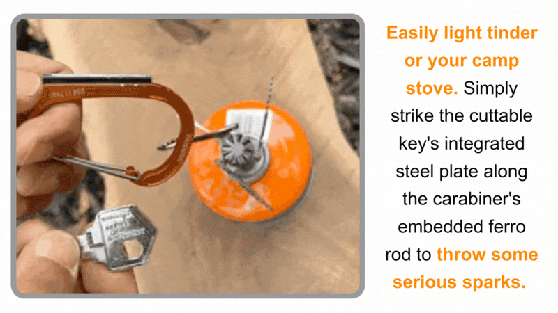 Load image into Gallery viewer, Sparky & Scratch Key