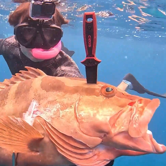 Load image into Gallery viewer, 4" FREEDIVING KNIFE