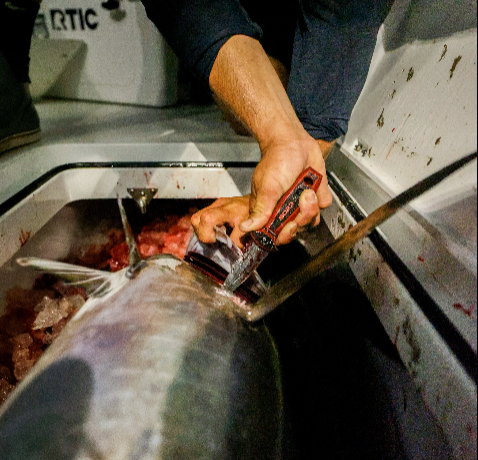 Load image into Gallery viewer, 4" FREEDIVING KNIFE