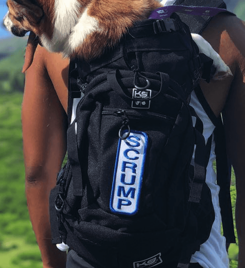 Load image into Gallery viewer, Custom K9 Patch