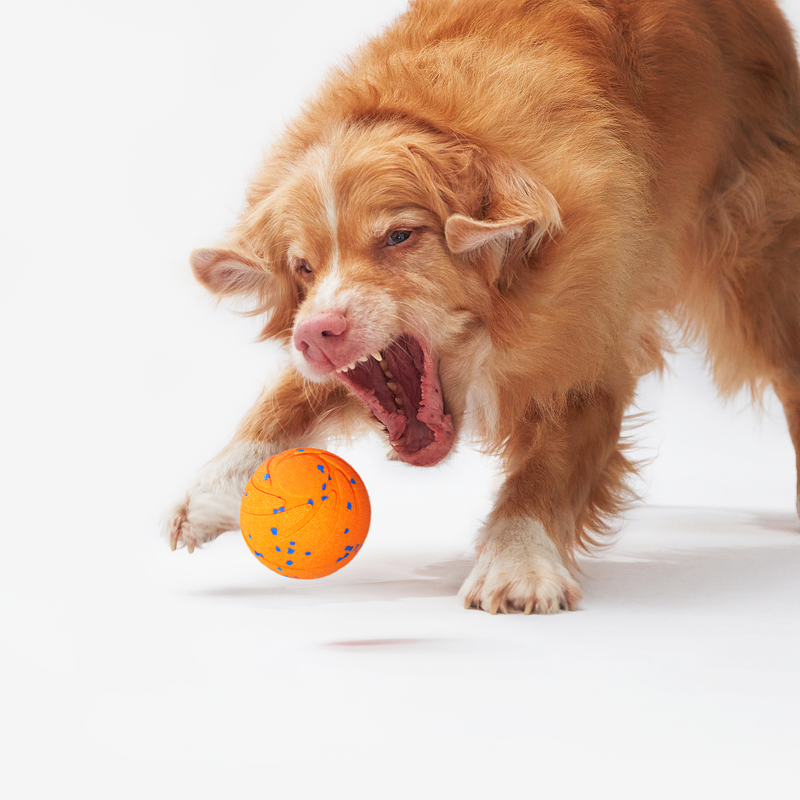 Load image into Gallery viewer, Wicked Ball Air