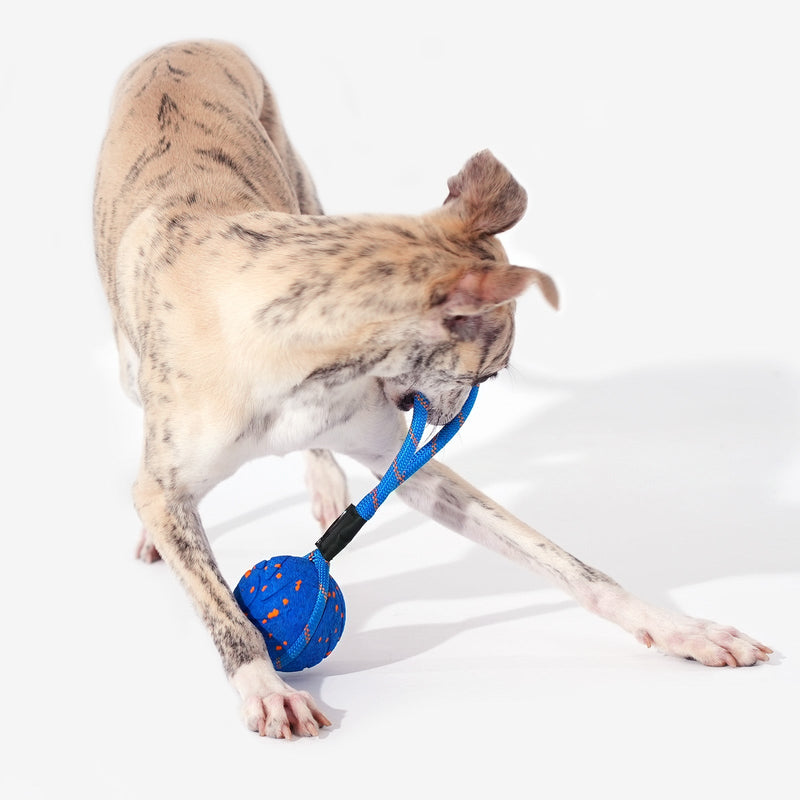 Load image into Gallery viewer, Wicked Ball Air Rope