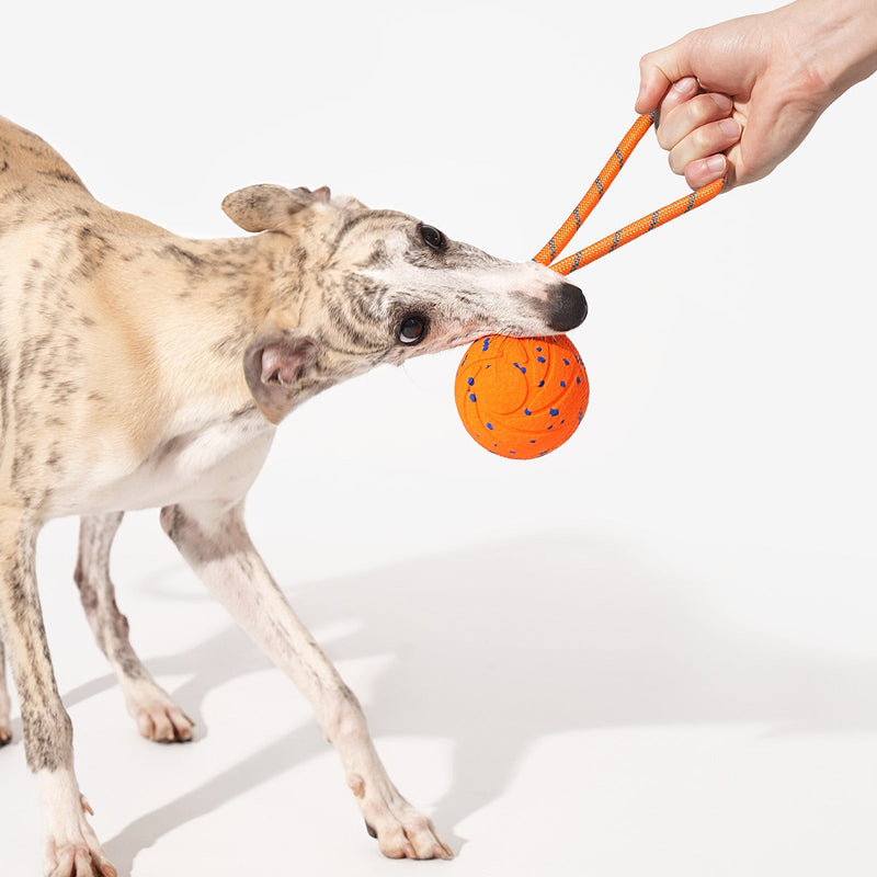 Load image into Gallery viewer, Wicked Ball Air Rope