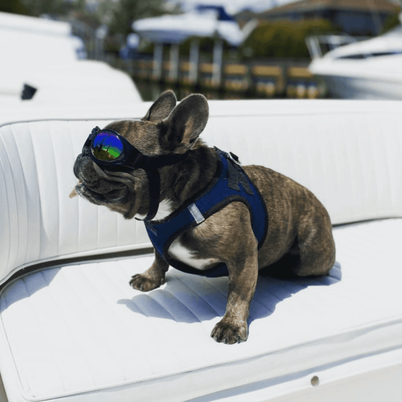 Load image into Gallery viewer, K9 Sport Shades - Dog Goggles