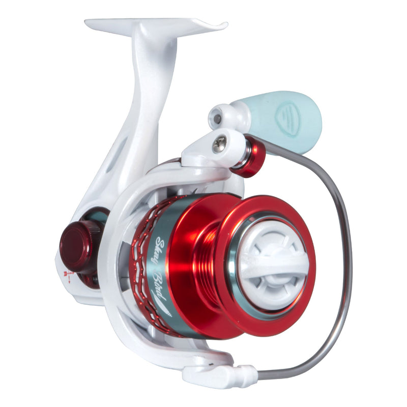 Load image into Gallery viewer, Shay Bird Spinning Combo