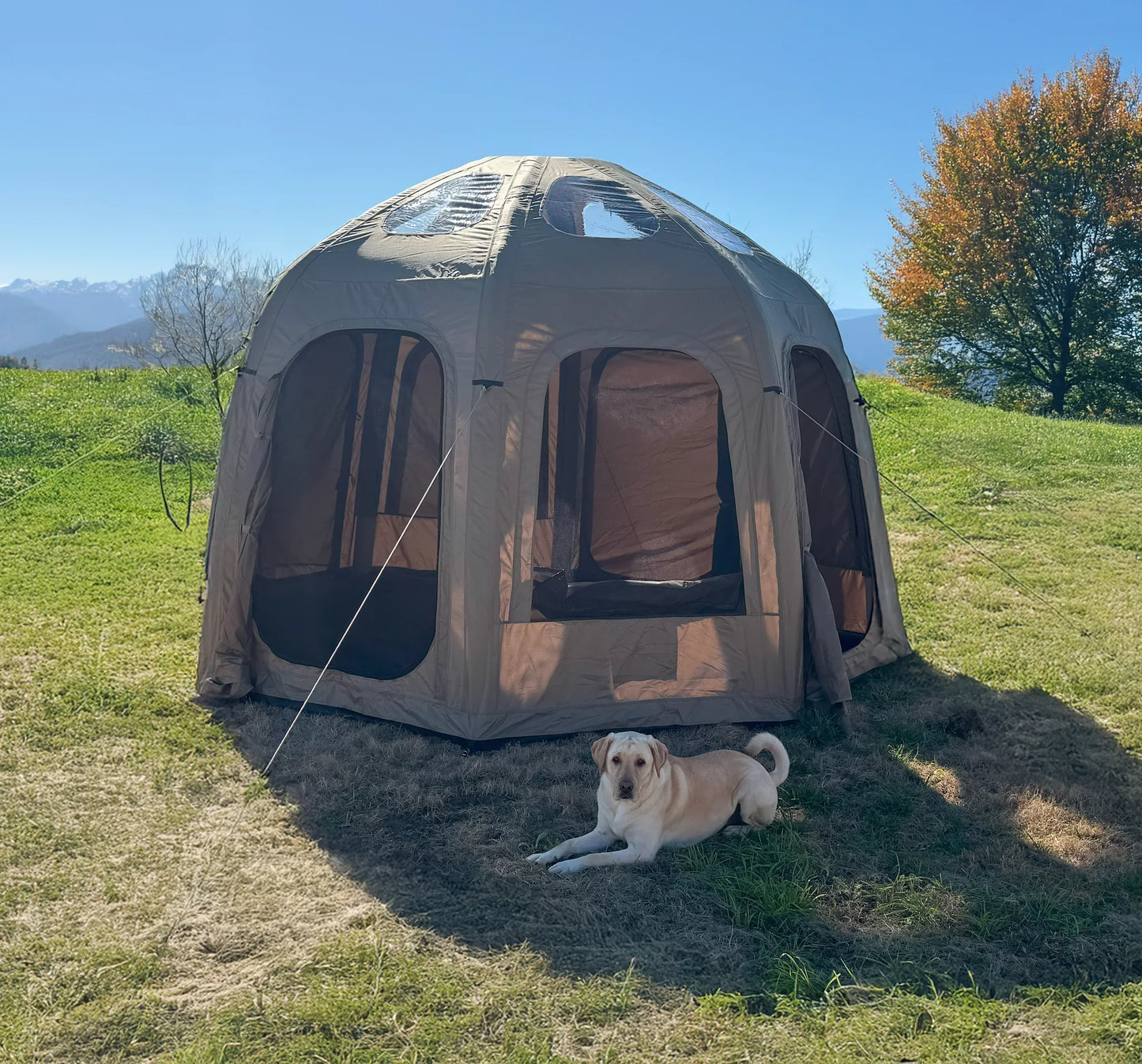 Galaxy Air Beam Tent | 13-Foot