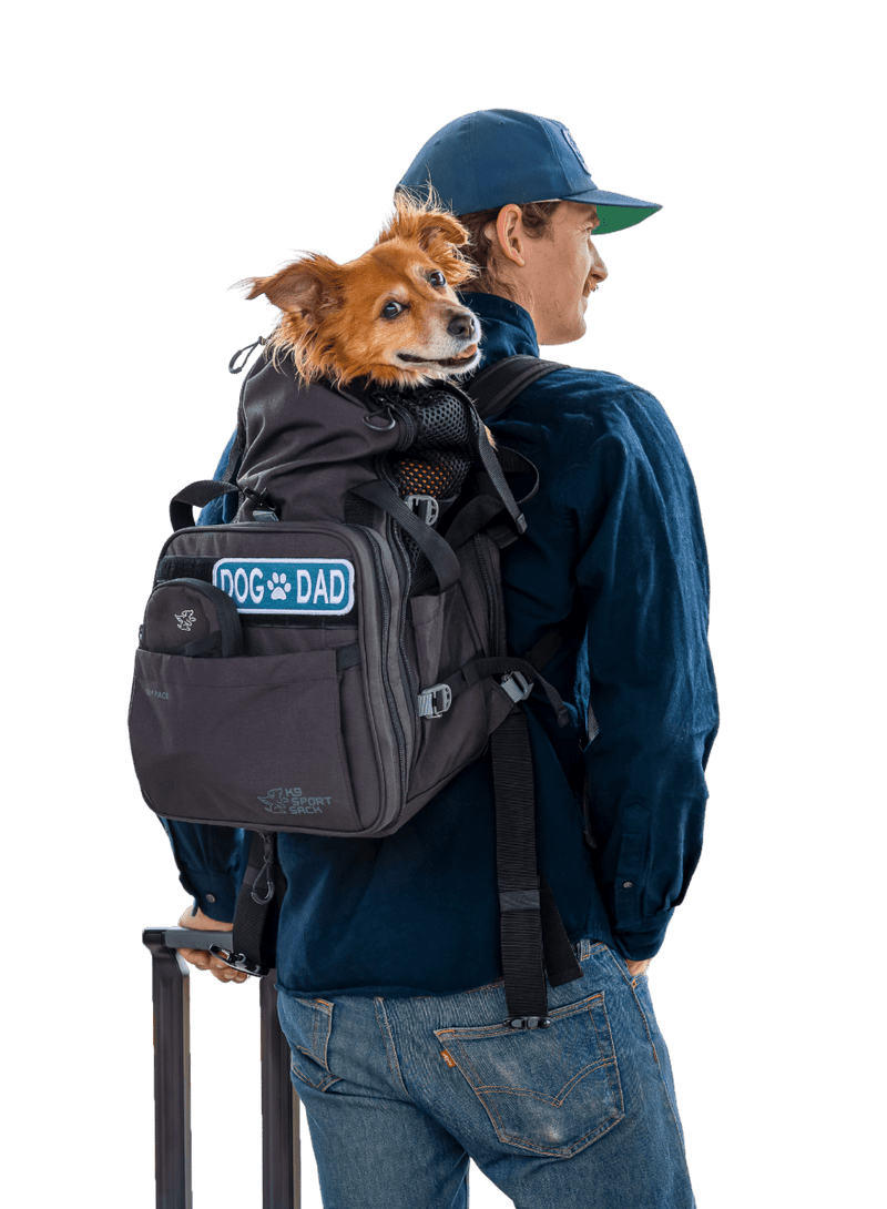 Load image into Gallery viewer, Sky Pack | Convertible Dog Backpack & Pet Carrier