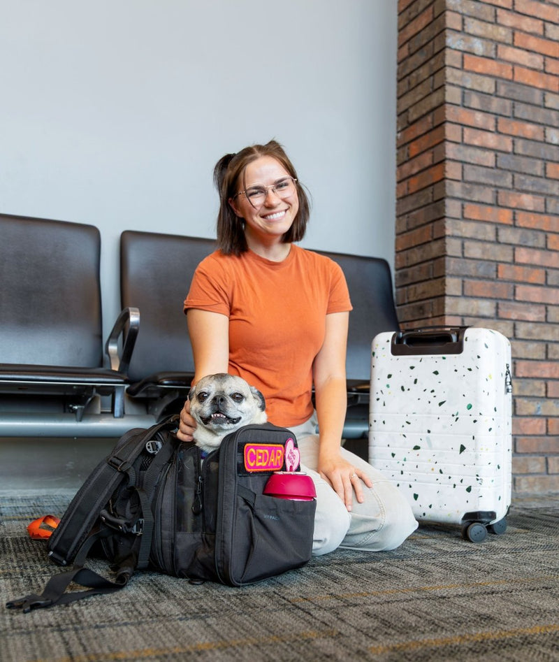 Load image into Gallery viewer, Sky Pack | Convertible Dog Backpack & Pet Carrier