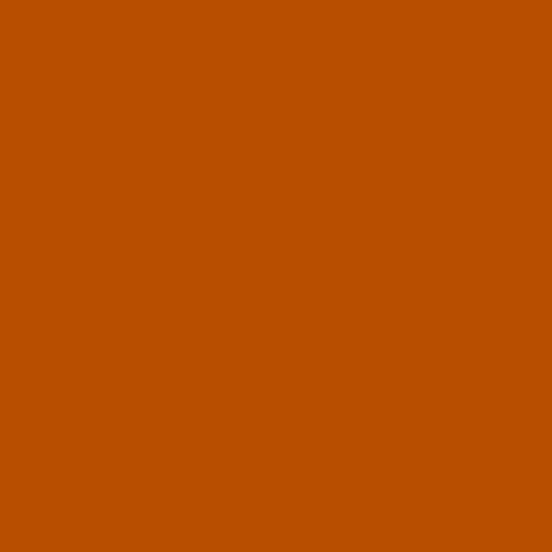 Load image into Gallery viewer, Pro Grille Insert