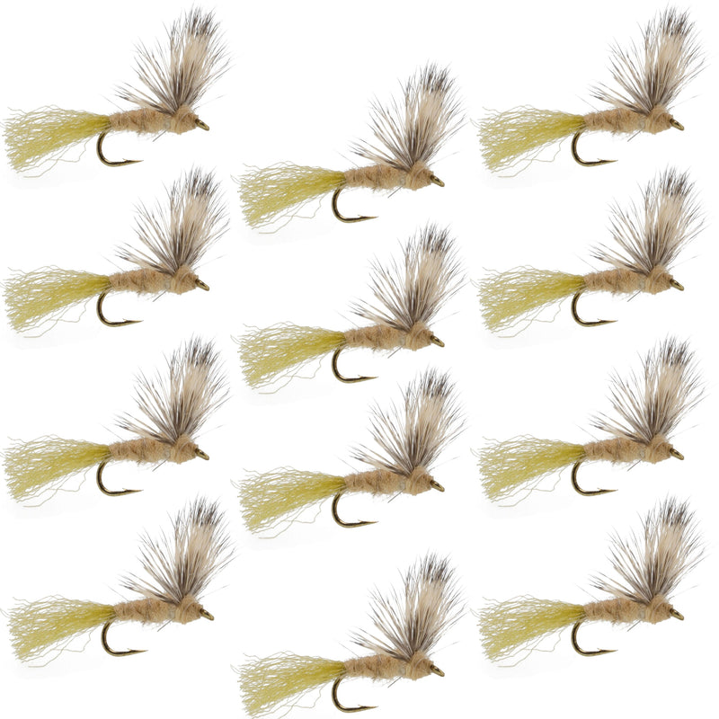 Load image into Gallery viewer, Sparkle Dun Callibaetis Mayfly - 12 Flies Hook size 16