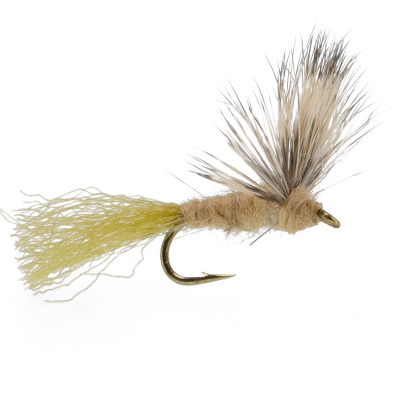 Load image into Gallery viewer, Sparkle Dun Callibaetis Mayfly - 12 Flies Hook size 16