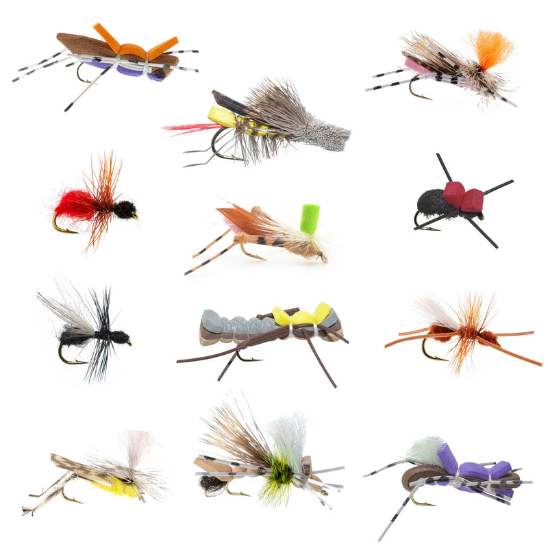 Load image into Gallery viewer, Trout Fly Assortment - Premium Terrestrial Flies - 12 Essential Hoppers, Ants and Beetles with Fly Box