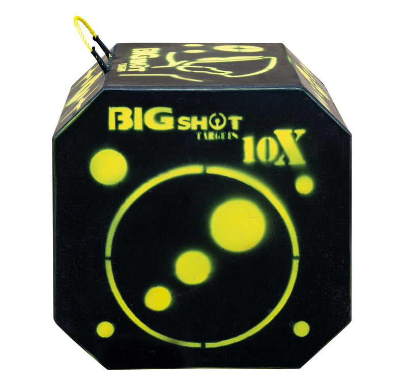 Load image into Gallery viewer, Titan 10X HD Crossbow Target