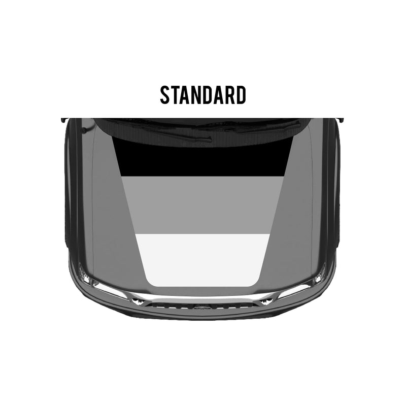 Load image into Gallery viewer, 2001-04 Tacoma Checkered Stripe Kit