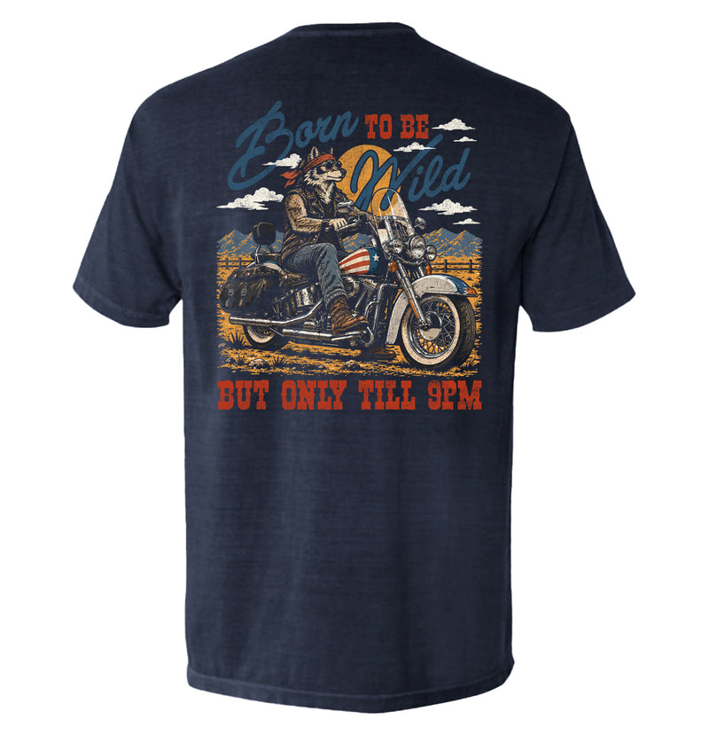 Load image into Gallery viewer, Born to be Wild