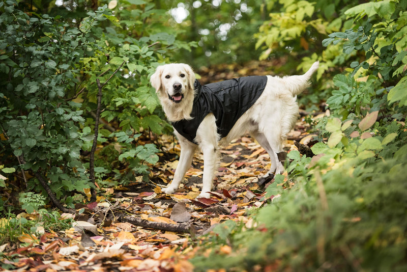 Load image into Gallery viewer, US Army Packable Dog Raincoat - Black