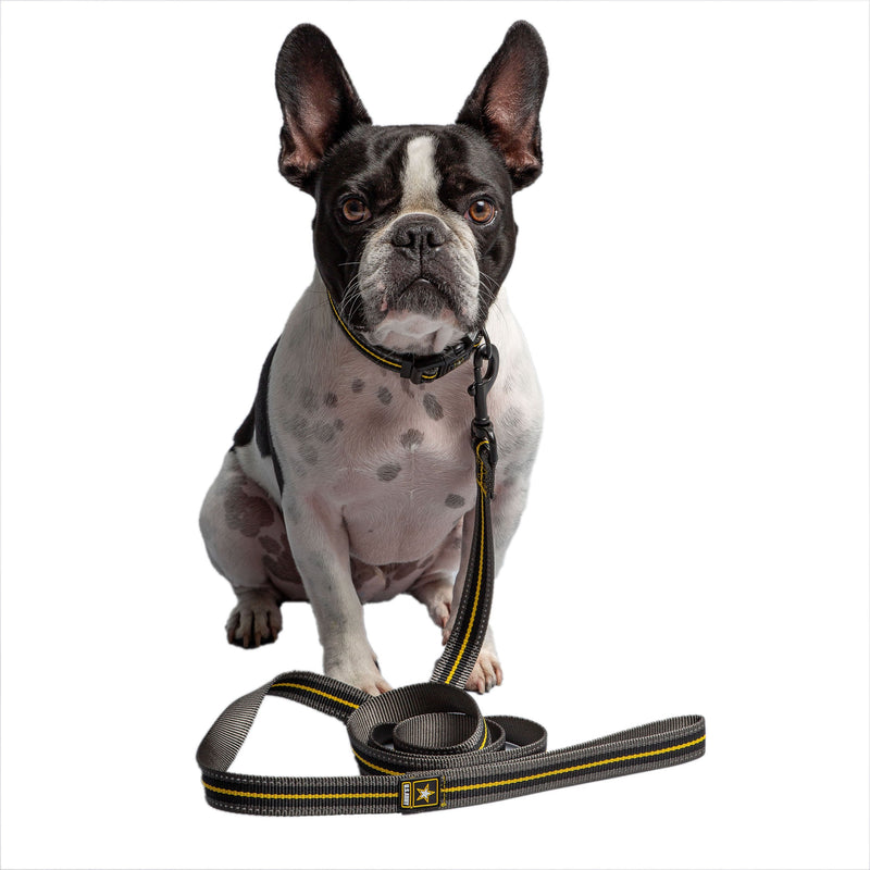 Load image into Gallery viewer, US Army Dog Leash - Dark Camo