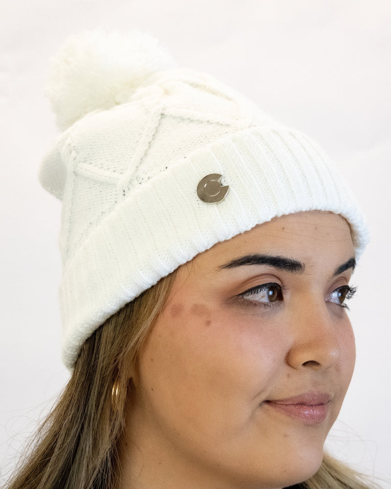 Load image into Gallery viewer, 1876 | The Wheeler Beanie